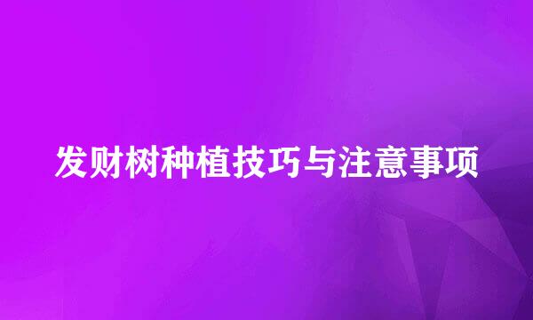 发财树种植技巧与注意事项