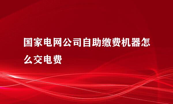 国家电网公司自助缴费机器怎么交电费