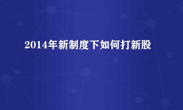 2014年新制度下如何打新股