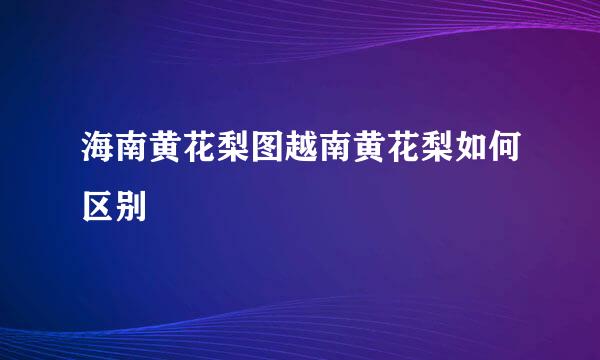 海南黄花梨图越南黄花梨如何区别