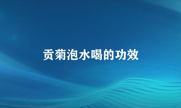 贡菊泡水喝的功效