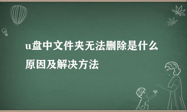 u盘中文件夹无法删除是什么原因及解决方法