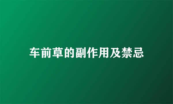 车前草的副作用及禁忌