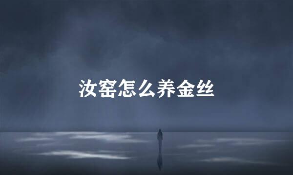汝窑怎么养金丝