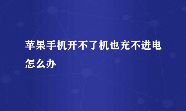 苹果手机开不了机也充不进电怎么办