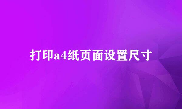 打印a4纸页面设置尺寸