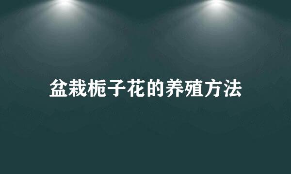 盆栽栀子花的养殖方法