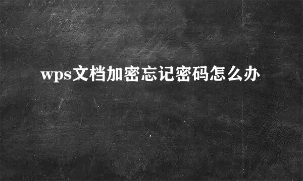 wps文档加密忘记密码怎么办