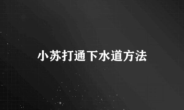 小苏打通下水道方法