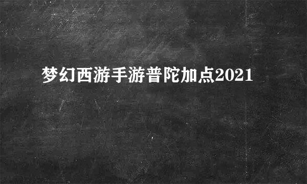 梦幻西游手游普陀加点2021