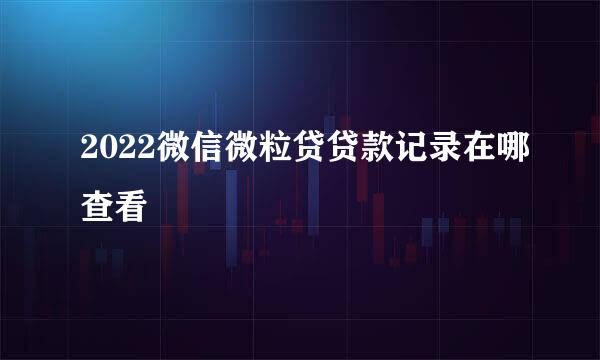 2022微信微粒贷贷款记录在哪查看