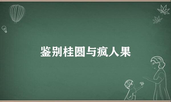 鉴别桂圆与疯人果