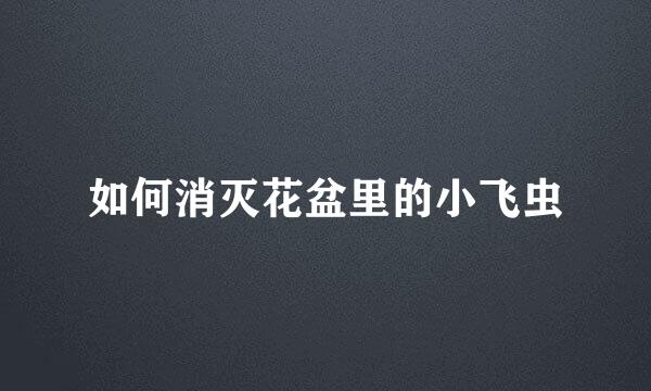 如何消灭花盆里的小飞虫