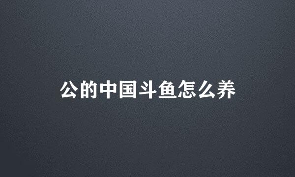 公的中国斗鱼怎么养