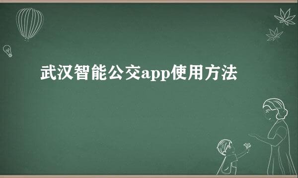 武汉智能公交app使用方法