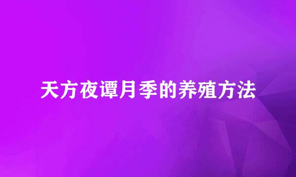 天方夜谭月季的养殖方法