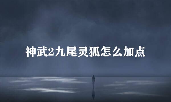 神武2九尾灵狐怎么加点