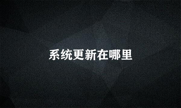 系统更新在哪里
