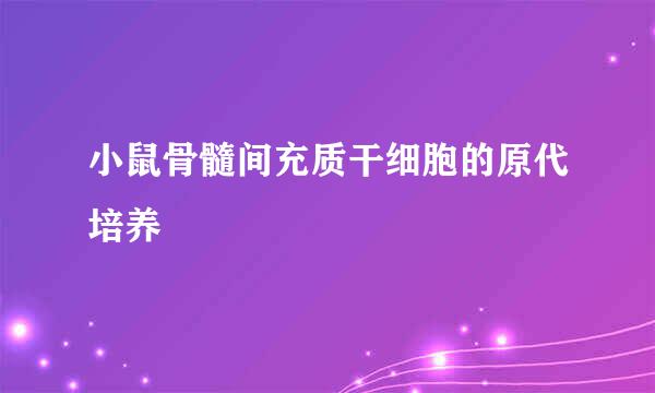 小鼠骨髓间充质干细胞的原代培养