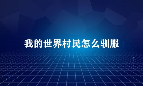 我的世界村民怎么驯服