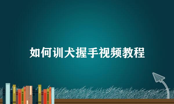 如何训犬握手视频教程