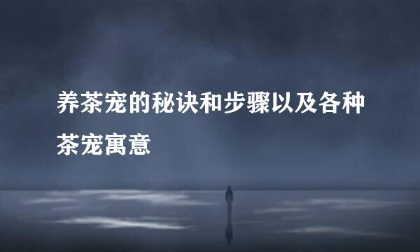养茶宠的秘诀和步骤以及各种茶宠寓意