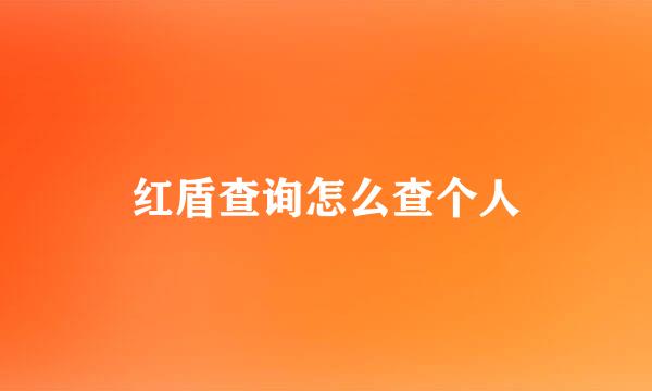 红盾查询怎么查个人