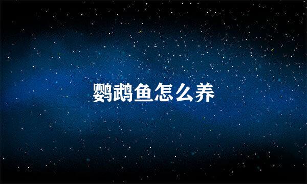 鹦鹉鱼怎么养