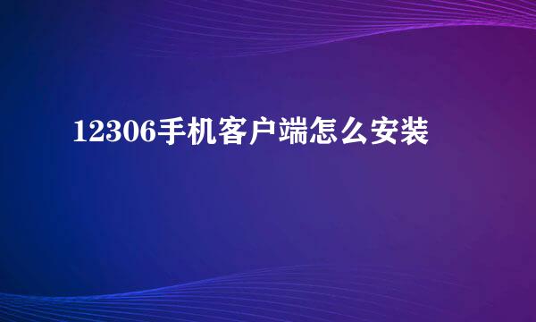 12306手机客户端怎么安装