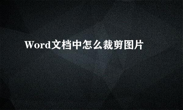 Word文档中怎么裁剪图片