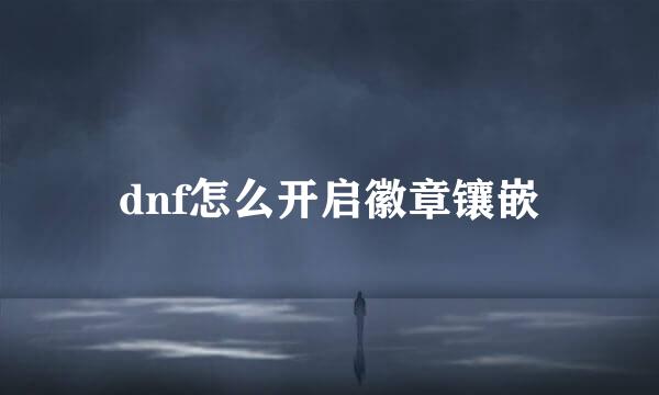dnf怎么开启徽章镶嵌
