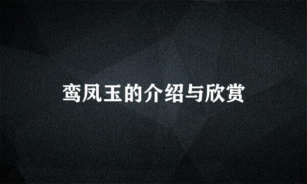 鸾凤玉的介绍与欣赏