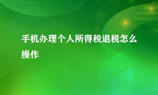 手机办理个人所得税退税怎么操作