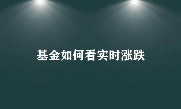 基金如何看实时涨跌
