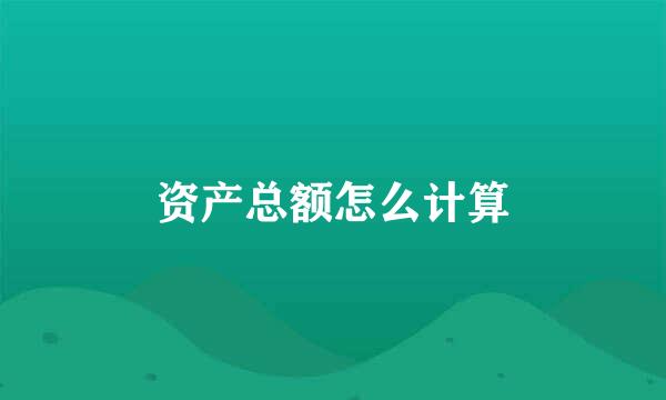 资产总额怎么计算