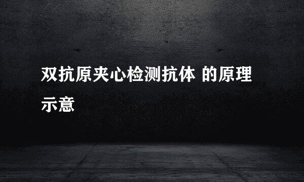 双抗原夹心检测抗体 的原理示意