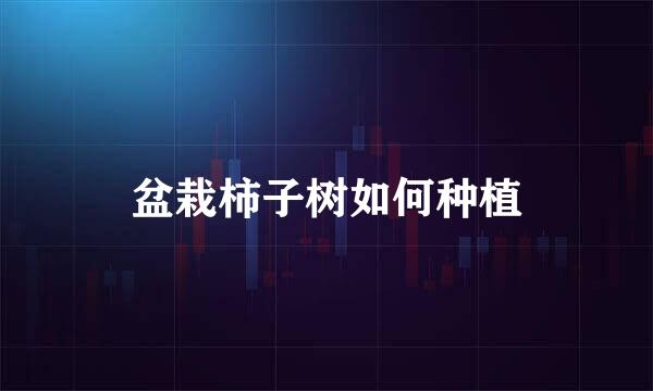 盆栽柿子树如何种植
