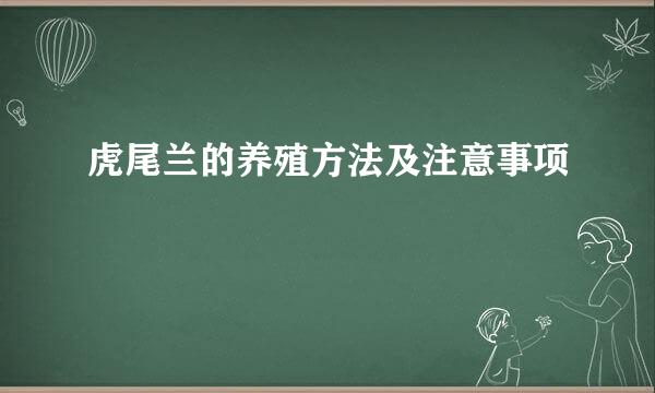 虎尾兰的养殖方法及注意事项