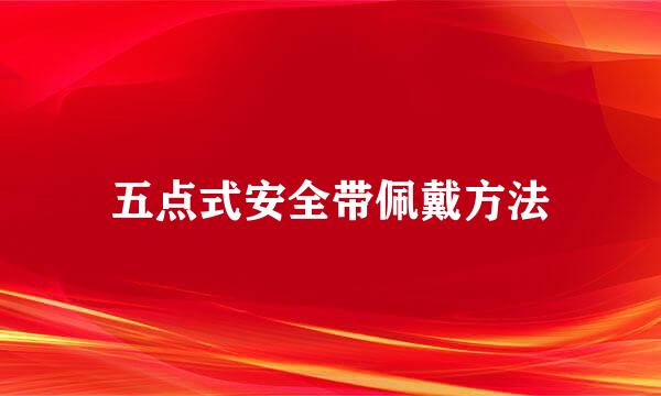五点式安全带佩戴方法