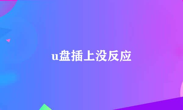 u盘插上没反应