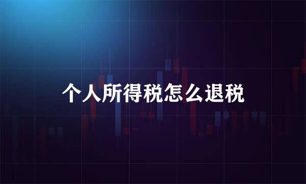 个人所得税怎么退税
