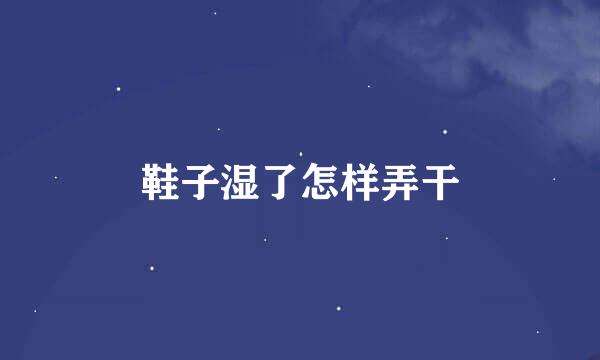 鞋子湿了怎样弄干