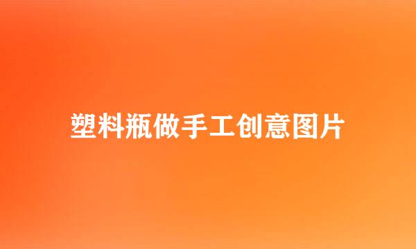 塑料瓶做手工创意图片
