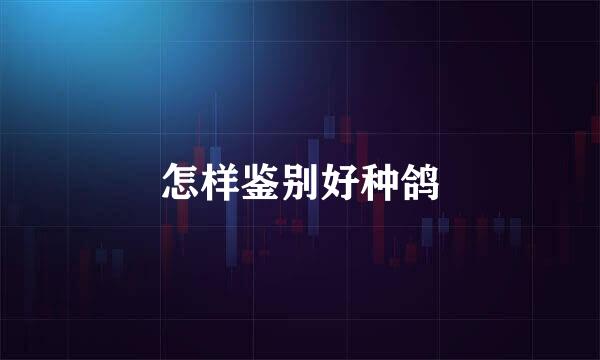 怎样鉴别好种鸽