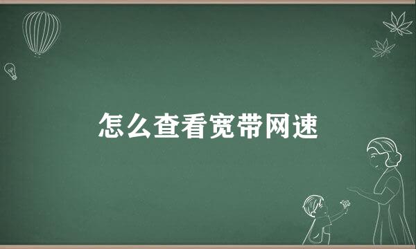 怎么查看宽带网速