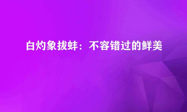 白灼象拔蚌：不容错过的鲜美