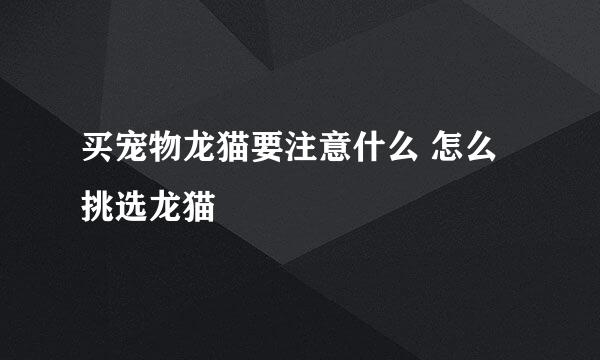 买宠物龙猫要注意什么 怎么挑选龙猫