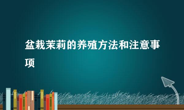 盆栽茉莉的养殖方法和注意事项