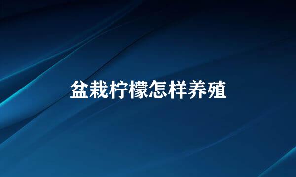 盆栽柠檬怎样养殖