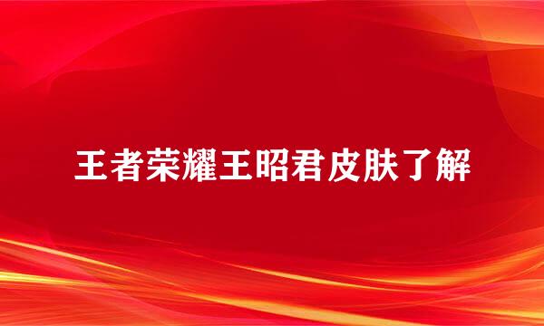 王者荣耀王昭君皮肤了解